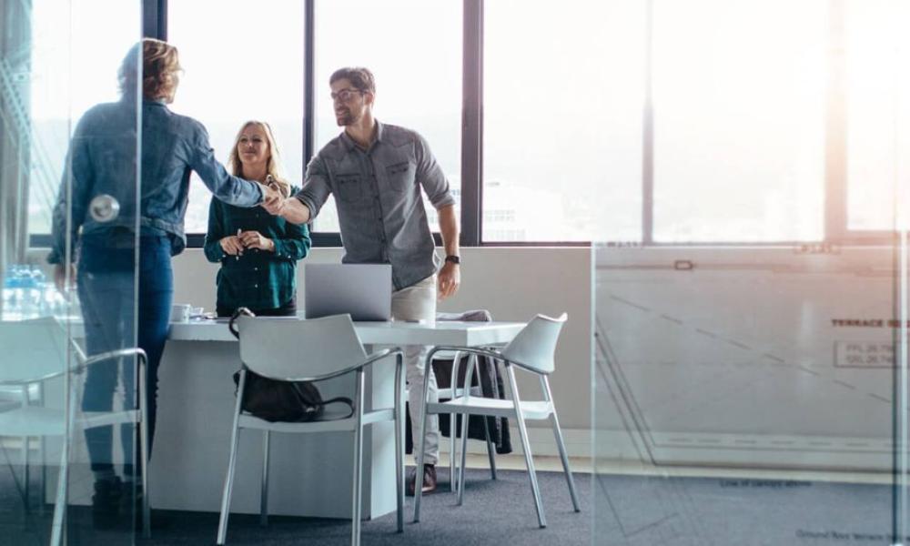 Professional Consulting